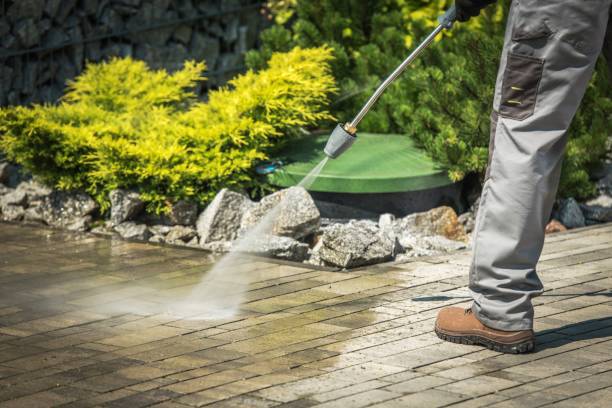 Professional Pressure Washing in Pine Knot, KY